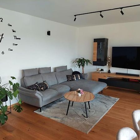 Luxury Apartment 卢布尔雅那 外观 照片